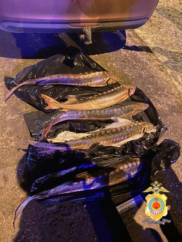 Полицейскими Калмыкии задержан мужчина, ставший фигурантом сразу двух уголовных дел