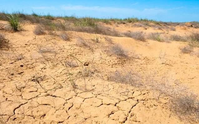 Прокуратура принимает меры в борьбе с опустыниванием