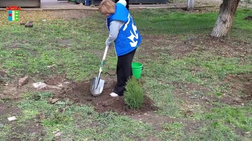 #СадОтцов в Элисте!. В преддверии Дня отца, который отмечается завтра, в Элисте дан старт новому проекту – #СадОтцов