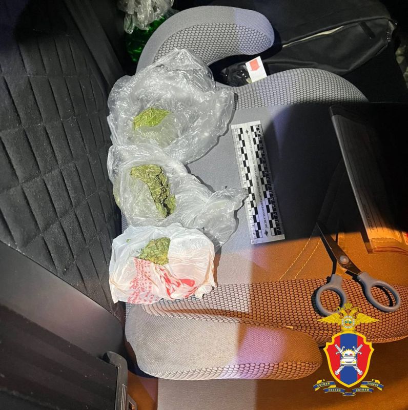 В Калмыкии сотрудники Госавтоинспекции обнаружили наркотические вещества в салоне автомобиля