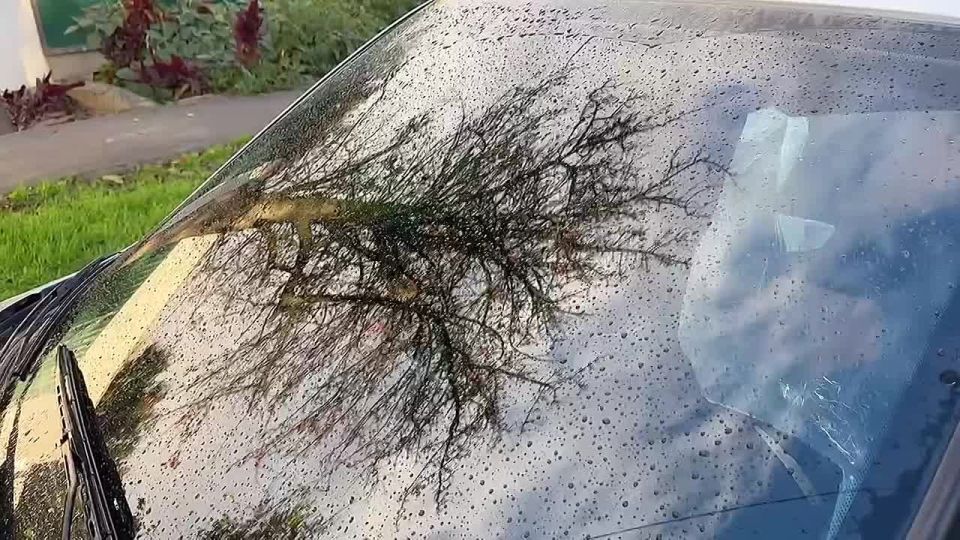 На территории города Элиста проведено профилактическое мероприятие «Чистые стекла»