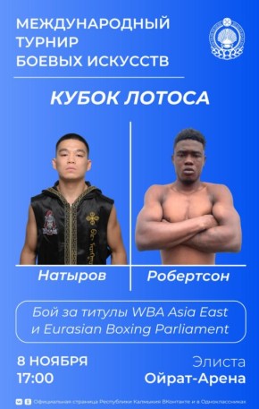 8 ноября ежегодный международный турнир боевых искусств «Кубок Лотоса» соберет бойцов не только из России, но и из Армении, Азербайджана, Ганы и Таджикистана