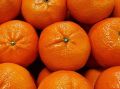 Как приготовить "Мандариновый пирог": рецепт вкусной выпечки знают немногие