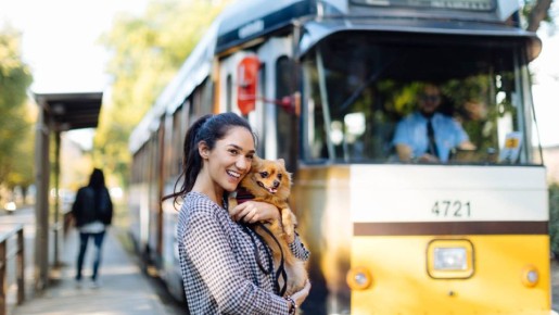Заплатить кондуктору или ревизору: эксперт объяснил, как быть, если сломан валидатор