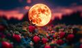 Клубничная луна 2025: что ожидает нас в июне под ярким полнолунием