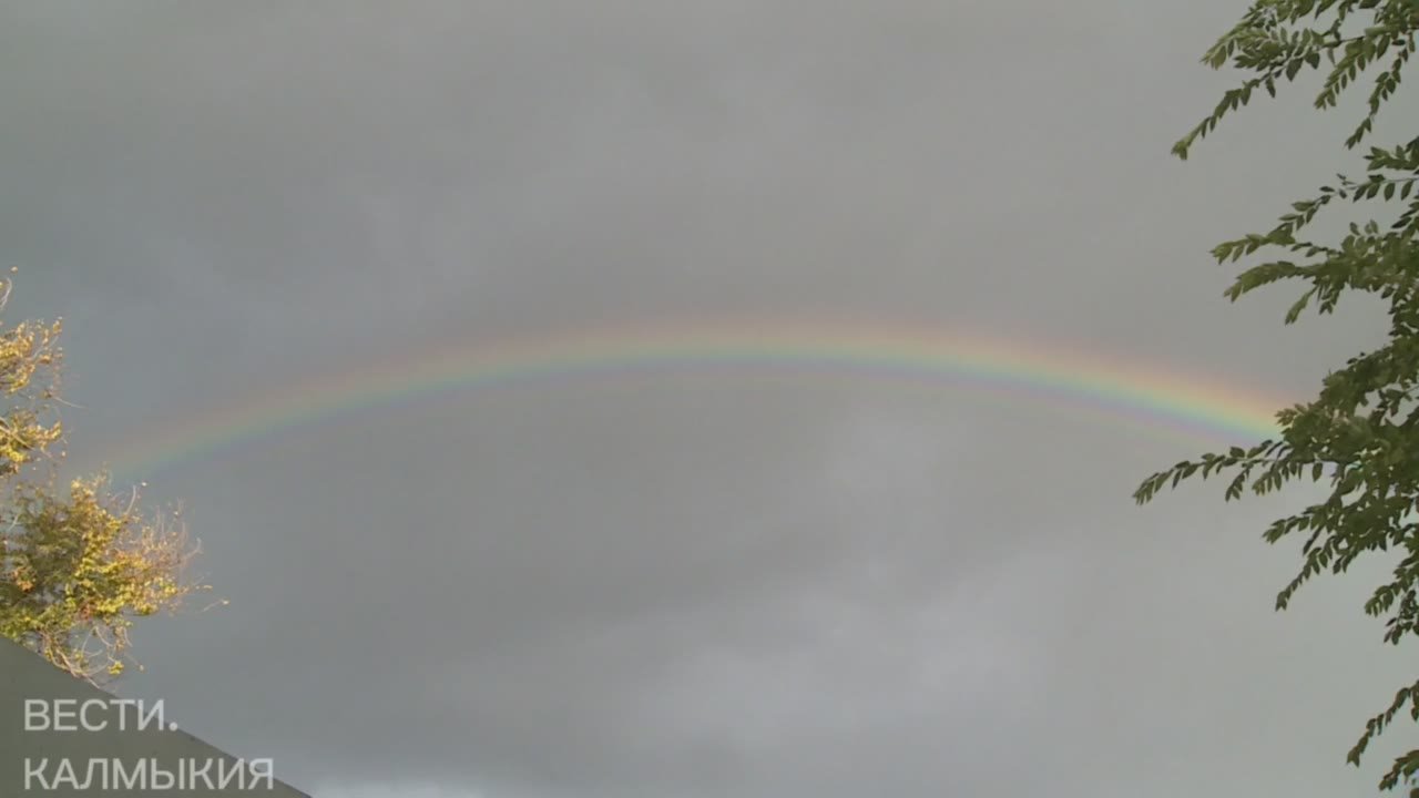 После дождичка в четверг: яркая радуга украсила небосвод