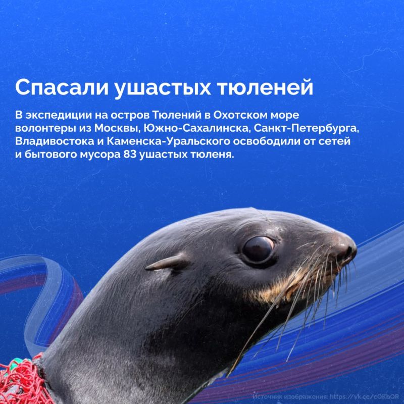 День народного единства — это не только память о прошлом, но и напоминание о силе настоящего День народного единства — это не только память о прошлом, но и напоминание о силе настоящего