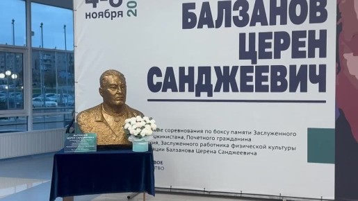 В Элисте в самом разгаре XVIII Межрегиональные соревнования по боксу памяти заслуженного тренера России и Таджикистана Церена Санджеевича Балзанова!