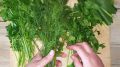 Как подготовить ароматную зелень на зиму: секреты заготовки