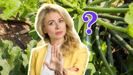 Кабачки такого соседства не переживут: эти культуры для них опаснее яда