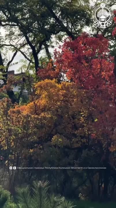 Сегодня исполняется 85 лет со дня рождения Веры Киргуевны Шуграевой – Народной поэтессы Калмыкии, Заслуженного работника культуры и Героя труда Калмыкии