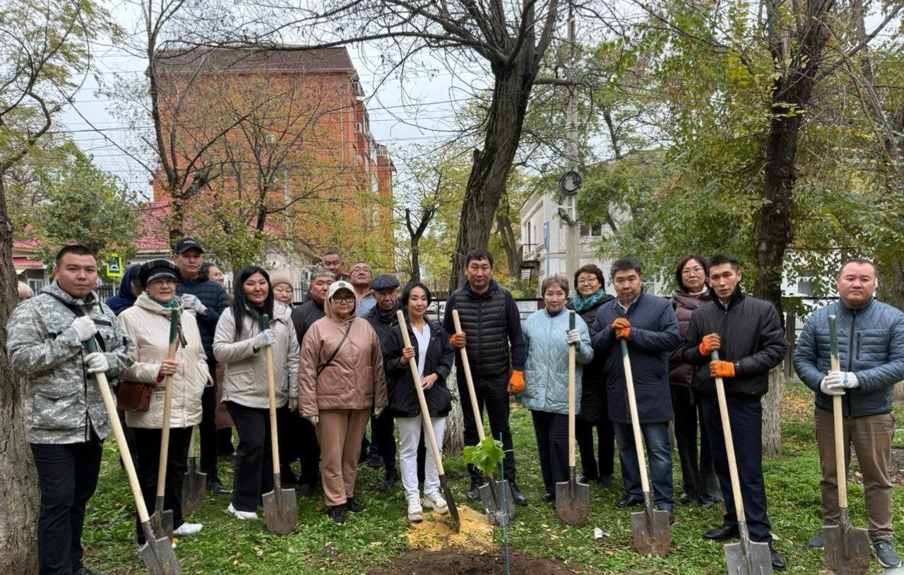 В Калмыкии высадили деревья в рамках акции «Сохраним лес» В Калмыкии высадили деревья в рамках акции «Сохраним лес»
