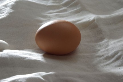 Как определить свежесть яиц за 30 секунд: простые советы для каждого