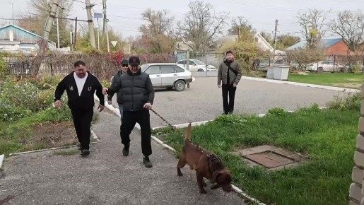 Глава Калмыкии Бату Хасиков провел тренировку с Чингизом Натыровым накануне боя за титулы