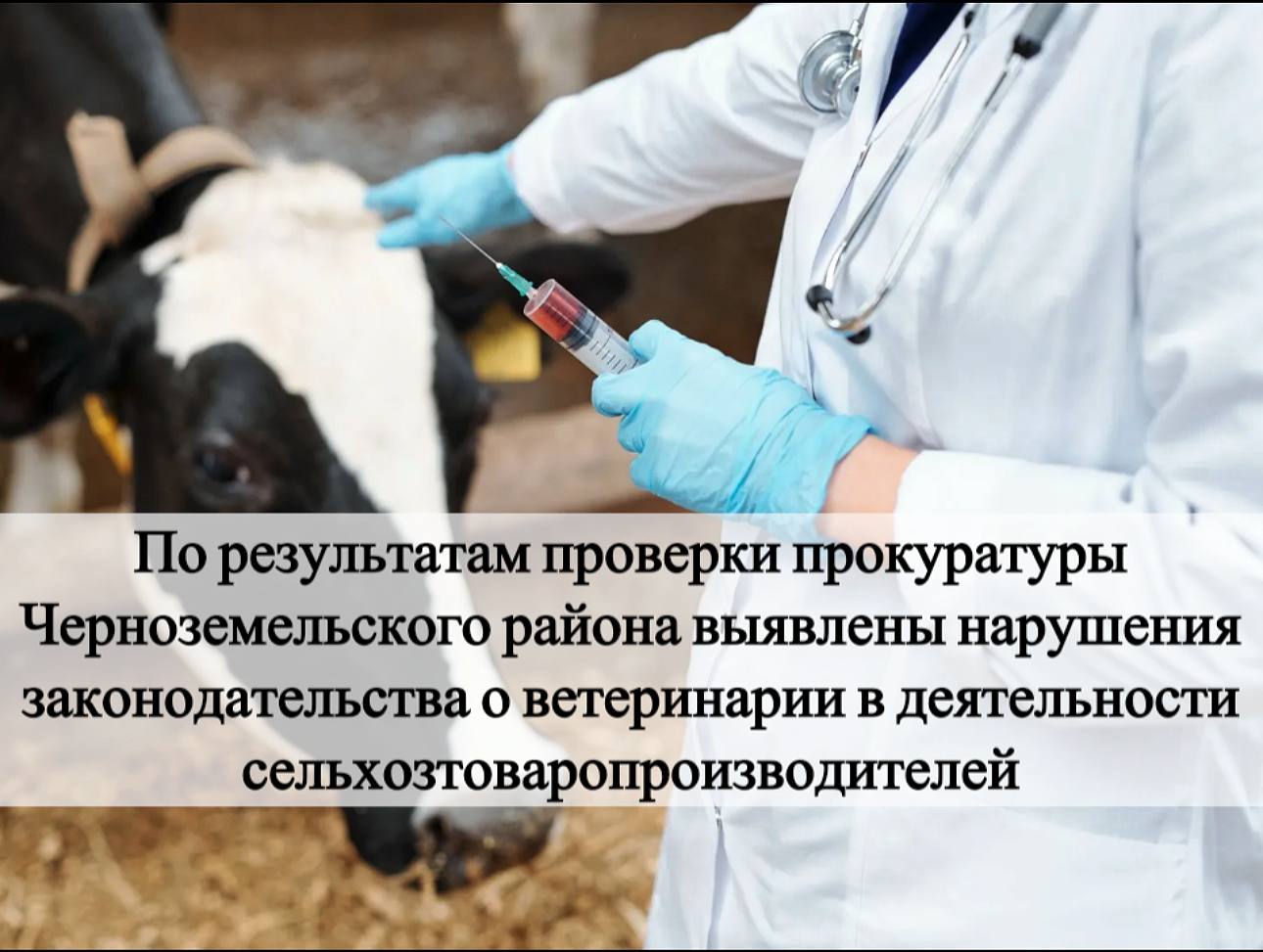 Проведенной прокуратурой Черноземельского района проверкой установлено, что 2 главами крестьянско-фермерских хозяйств не заключены договоры на оказания платных ветеринарных услуг и не выполняются обязательные ветеринарные...