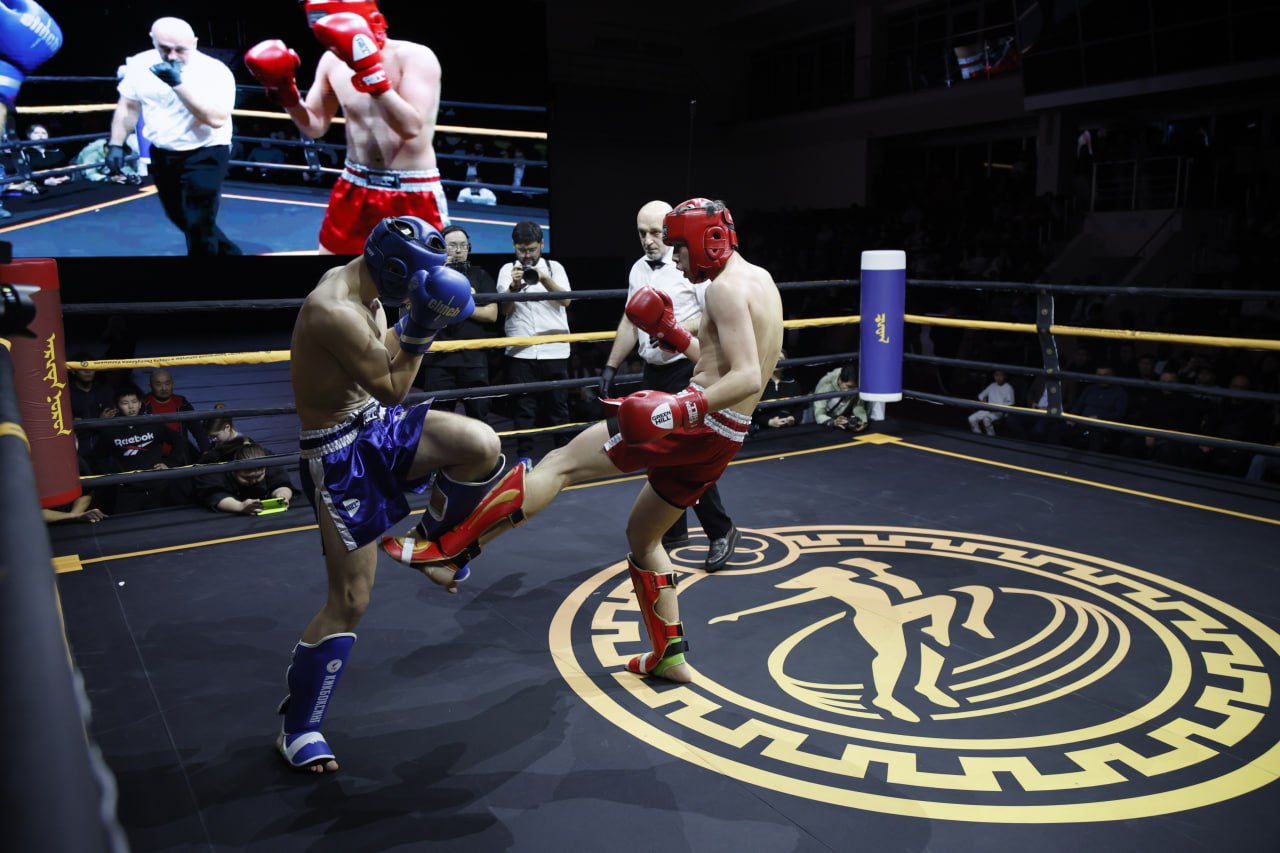 Представитель калмыцкой школы кикбоксинга, победитель любительского поединка «Кубка Лотоса» в весовой категории до 80 кг Алдар Ильджинов рассказал нам о своих впечатлениях после турнира: Представитель калмыцкой школы кикбоксинга, победитель любительского поединка «Кубка Лотоса» в весовой категории до 80 кг Алдар Ильджинов рассказал нам о своих впечатлениях после турнира: