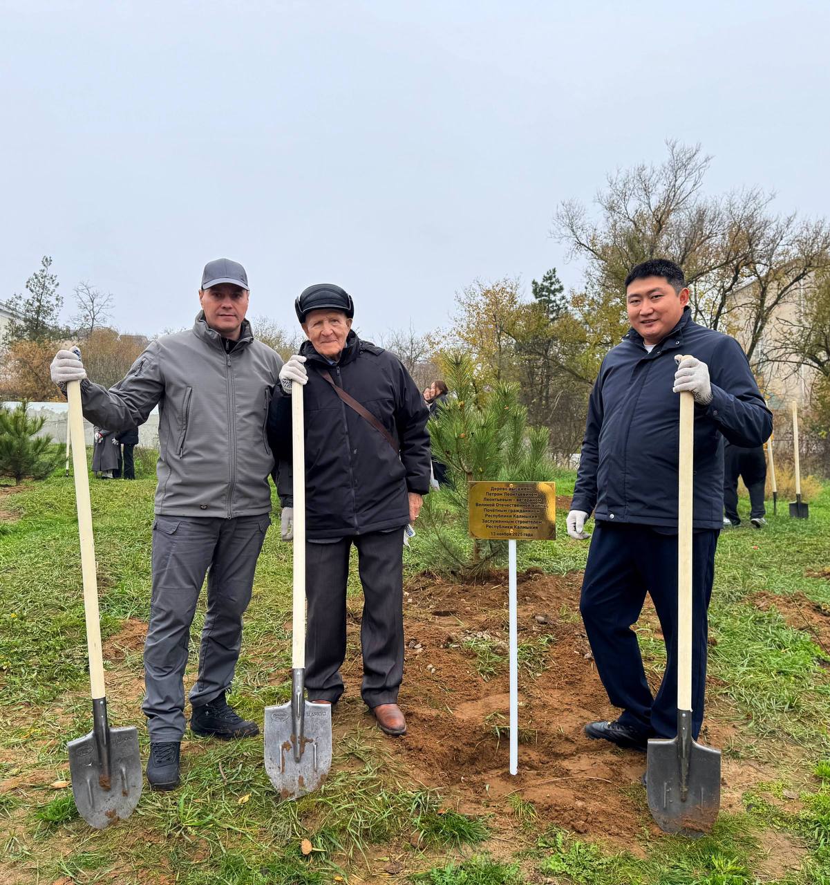 «Тропа памяти»: в Элисте высадили сосны в честь ветеранов Великой Отечественной войны «Тропа памяти»: в Элисте высадили сосны в честь ветеранов Великой Отечественной войны