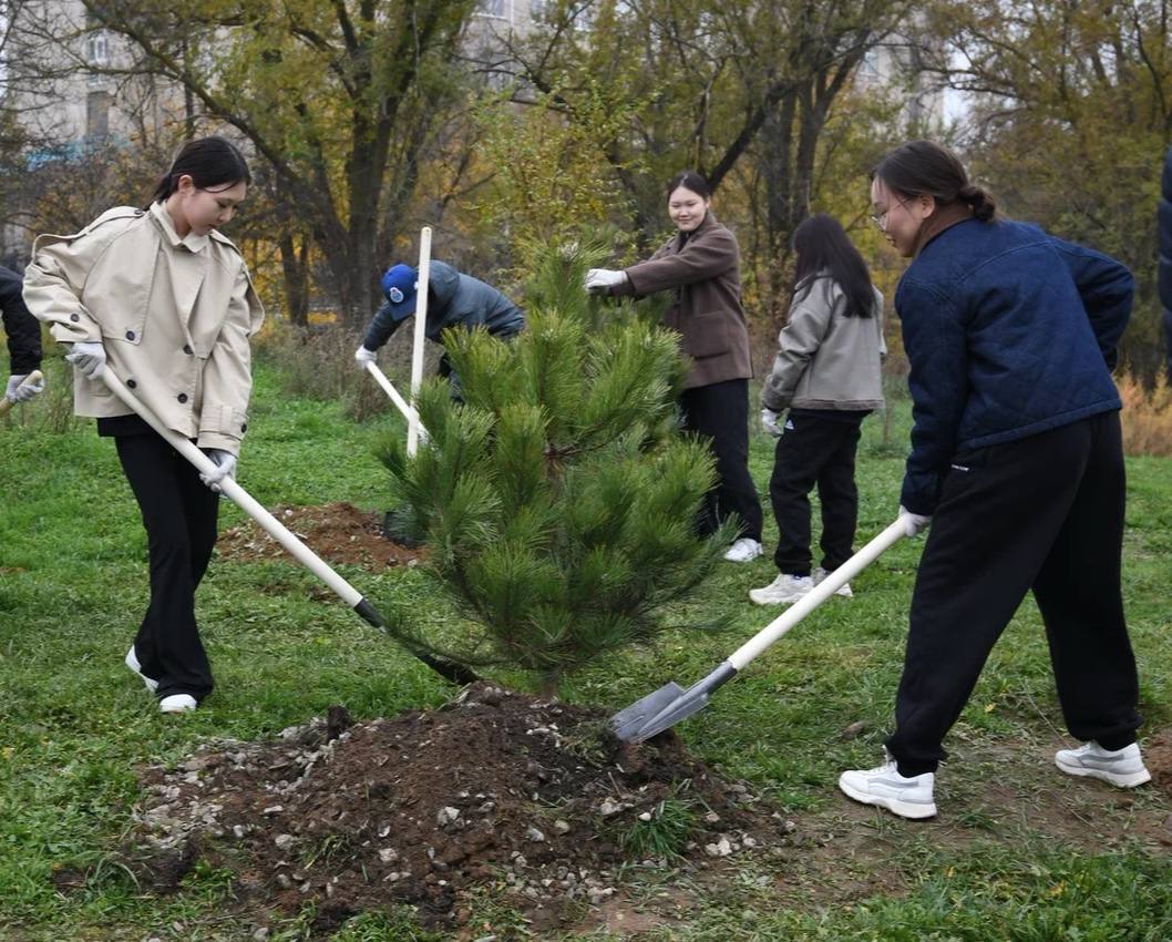 «Тропа памяти»: в Элисте высадили сосны в честь ветеранов Великой Отечественной войны «Тропа памяти»: в Элисте высадили сосны в честь ветеранов Великой Отечественной войны