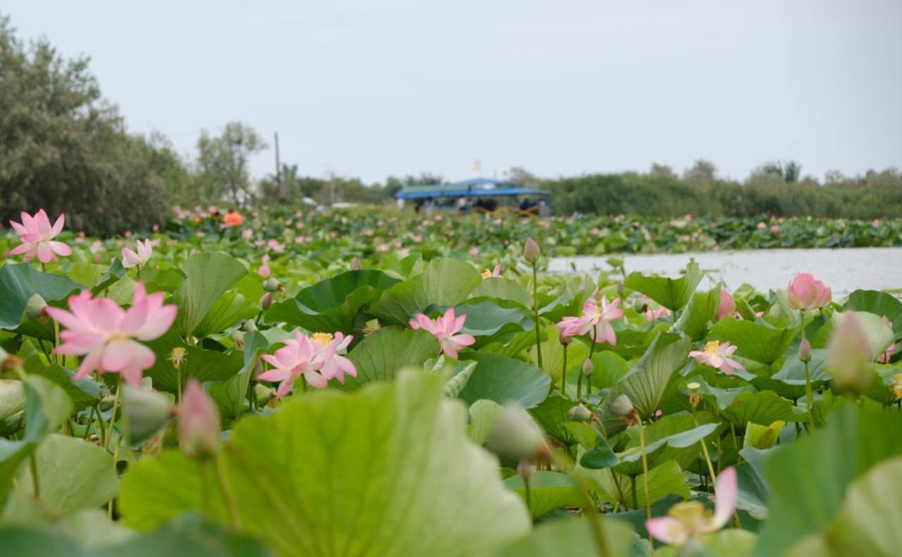 Лаганскому району — 90 лет! Лаганскому району — 90 лет!