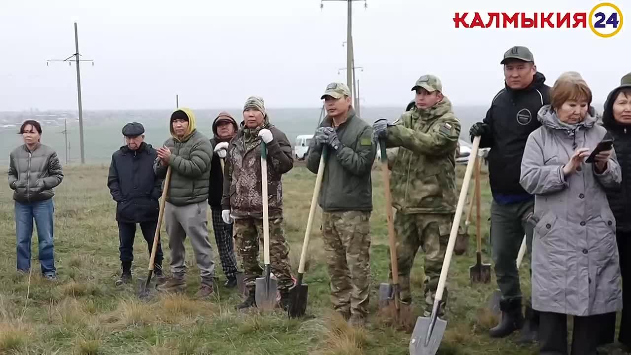 По всей России запустили акцию «Сохраним лес», которая проходит в поддержку нацпроекта «Экологическое благополучие»