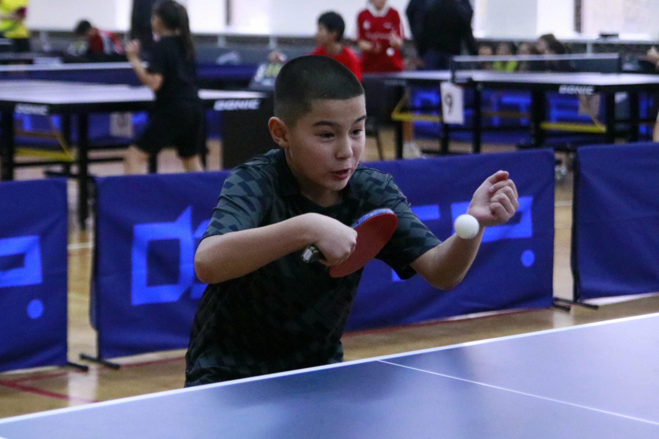 В Элисте прошел межрегиональный турнир по настольному теннису памяти Анатолия Куберлинова, заслуженного работника физической культуры РСФСР и основателя настольного тенниса в Калмыкии В Элисте прошел межрегиональный турнир по настольному теннису памяти Анатолия Куберлинова, заслуженного работника физической культуры РСФСР и основателя настольного тенниса в Калмыкии