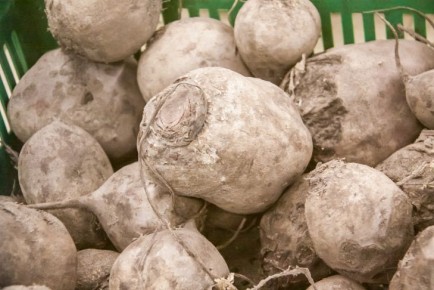 Кому полезно есть свеклу: возьмите на заметку наш рецепт