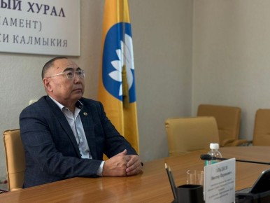 Депутат Народного Хурала (Парламента) Республики Калмыкия Виктор Эльдеев принял участие в заседании комитета Государственной Думы ФС РФ по охране здоровья в режиме видео-конференц-связи