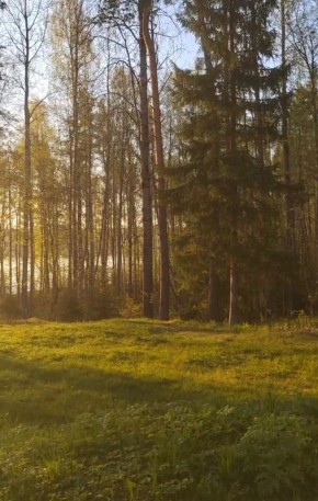 Снижение популярности каналов на платформе