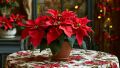 Как выбрать идеальную пуансеттию и ухаживать за ней, чтобы она радовала вас долго