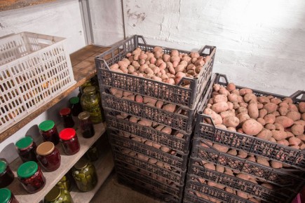 Как сохранить картошку свежей и вкусной: секреты эффективного хранения