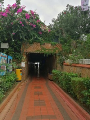 Как подземный переход в Аланье стал уникальной арт-галереей