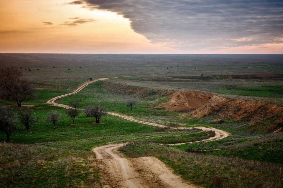 Сегодня начнутся тестовые заезды бахи «Великая степь»!