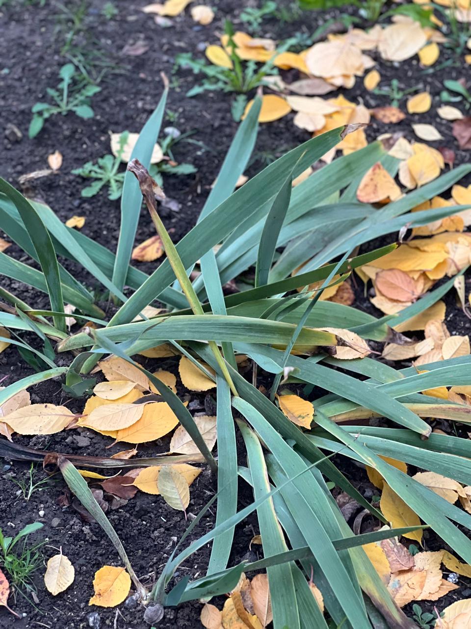 Доброе утро!. Сегодня 22 ноября, суббота, мы представляем вам погоду на этот день