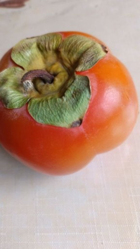 Хурма «Ромашка»: солнечный заряд здоровья и вкуса