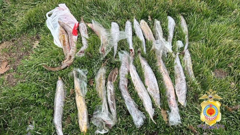 ������������ �������� �������� ������������� � ���������� ������� ������ �����������, ���������� � ������� �����