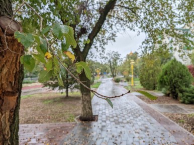 Доброе утро!. Сегодня 24 ноября, понедельник, мы представляем вам погоду на этот день
