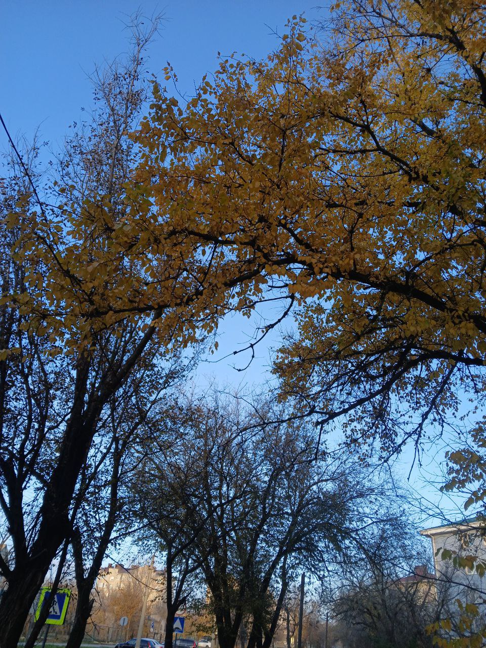 Доброе утро!. Сегодня 25 ноября, вторник, мы представляем вам погоду на этот день