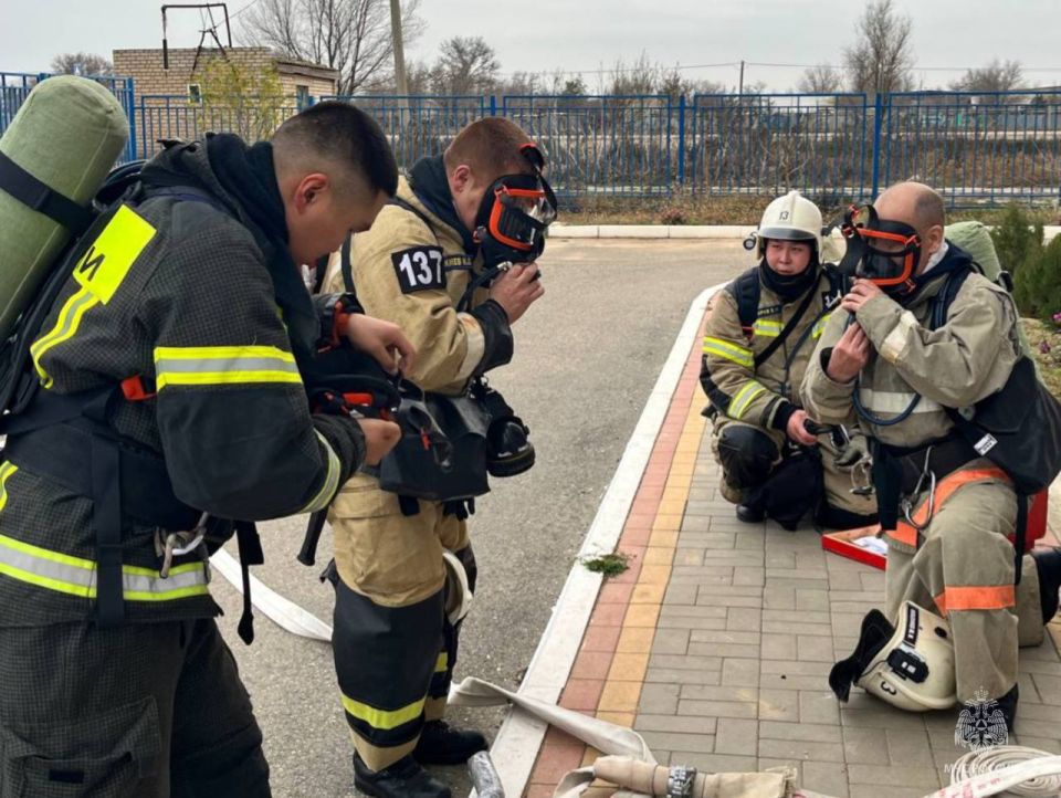 ���������������� ��������� ������� �������-����������� ������