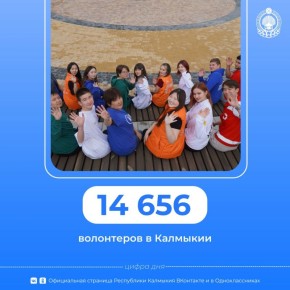 Деятельность наших волонтеров в цифрах