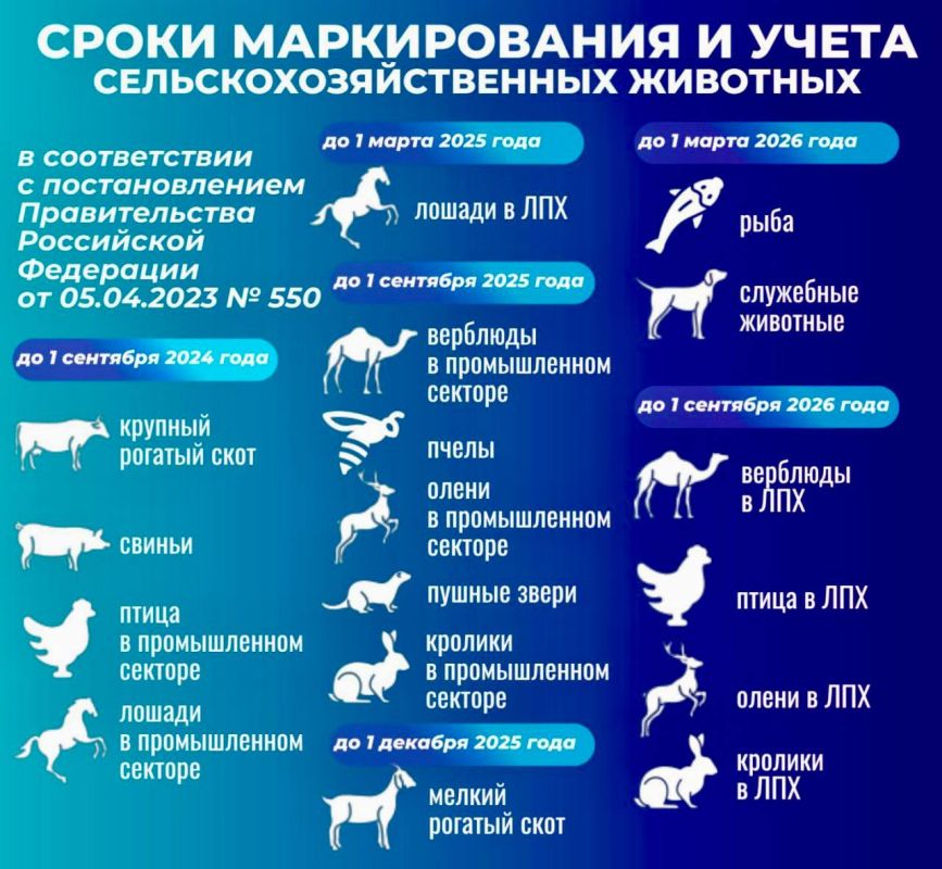 � �������� ������ �� ������������� ����������� ��������������� ��������� � ��������������� �� ��������� ���������� ������������� ���������������� ��� ���������� �����