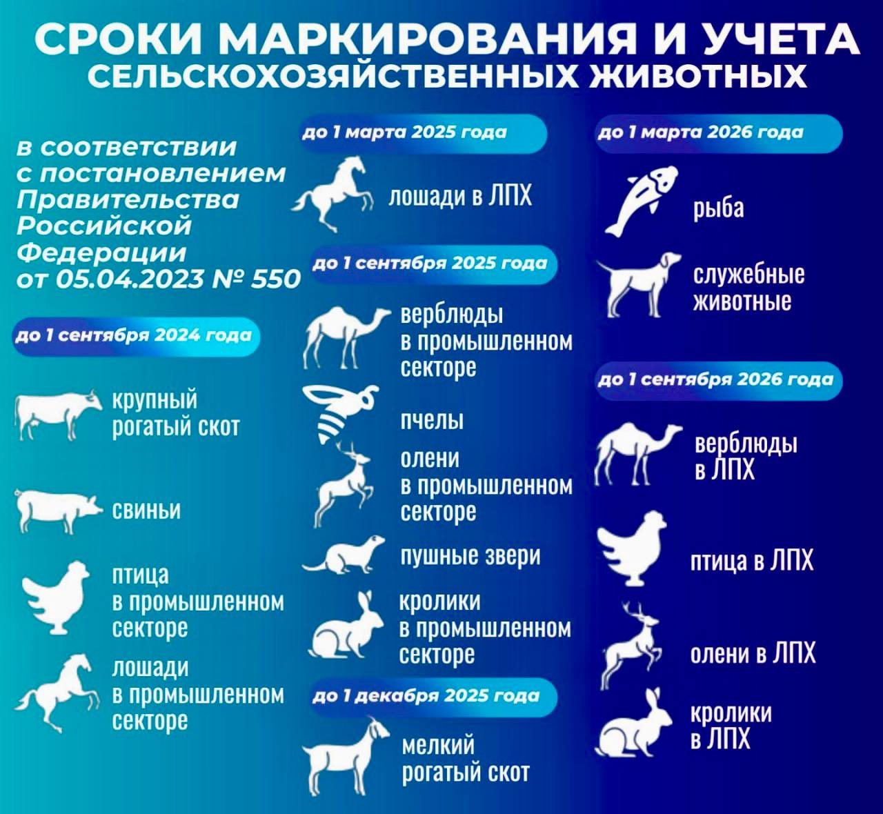 В Целинном районе по постановлению прокуратуры предприниматель привлечен к ответственности за нарушение требований ветеринарного законодательства при содержании скота