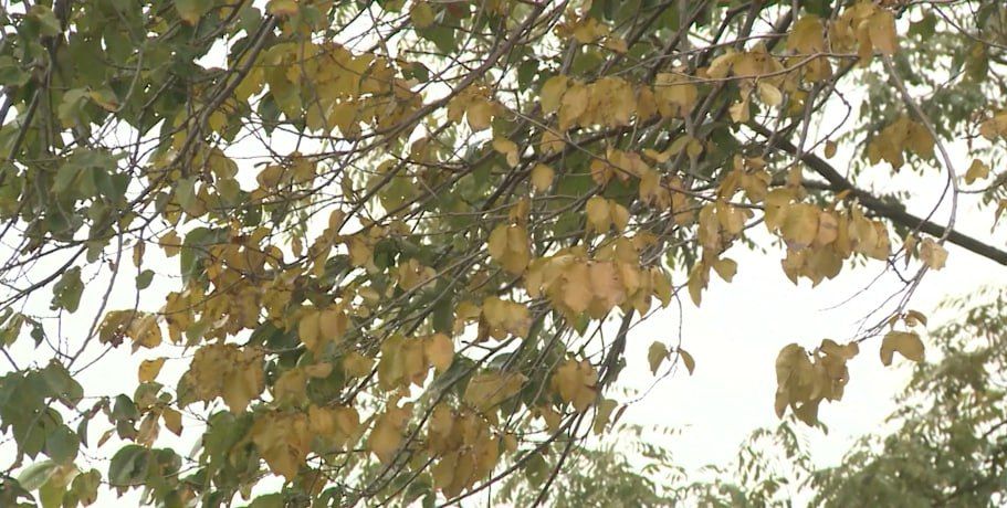 ������ ����!. ������� 6 �������, �������, �� ������������ ��� ������ �� ���� ����