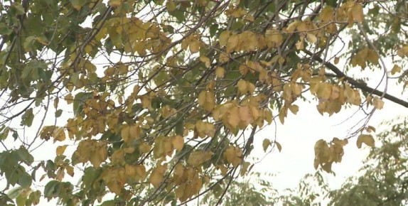 Доброе утро!. Сегодня 6 декабря, суббота, мы представляем вам погоду на этот день