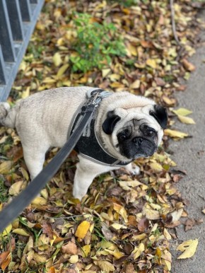 Доброе утро!. Сегодня 7 декабря, воскресенье, мы представляем вам погоду на этот день