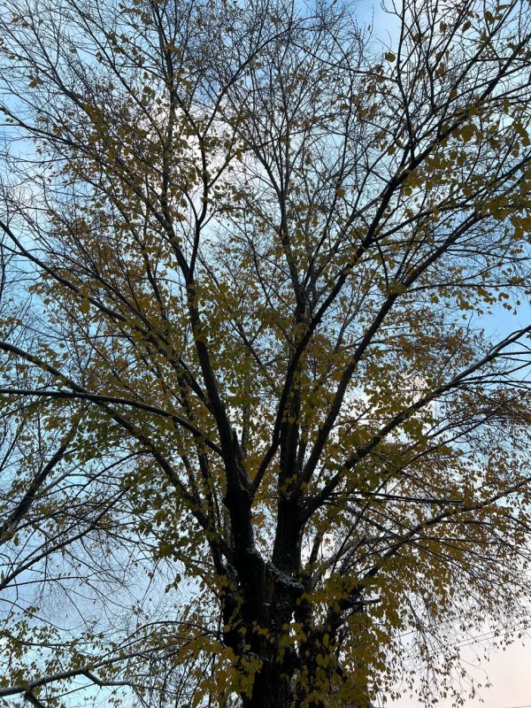 ������ ����!. ������� 10 �������, �����, �� ������������ ��� ������ �� ���� ����