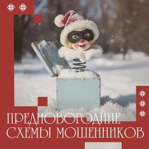 Новогодние приключения мошенников или когда гости точно незваные