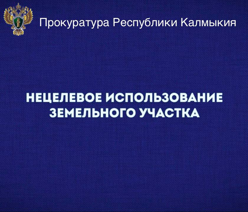 Прокуратура Целинного района выявила нарушения земельного законодательства