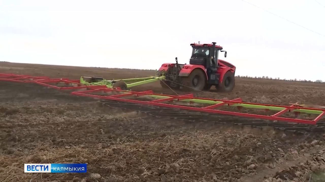 Калмыкии выделили еще 20 миллионов рублей на поддержку малых форм хозяйствования