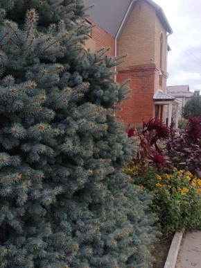 Доброе утро!. Сегодня 11 декабря, четверг, мы представляем вам погоду на этот день