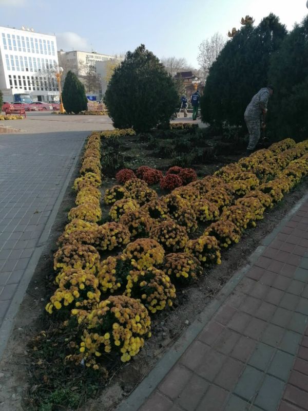 ������ ����!. ������� 12 �������, �������, �� ������������ ��� ������ �� ���� ����